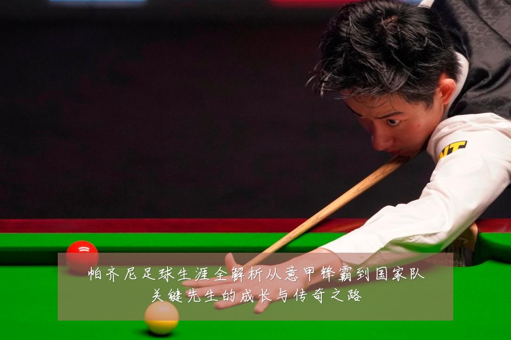 帕齐尼足球生涯全解析从意甲锋霸到国家队关键先生的成长与传奇之路
