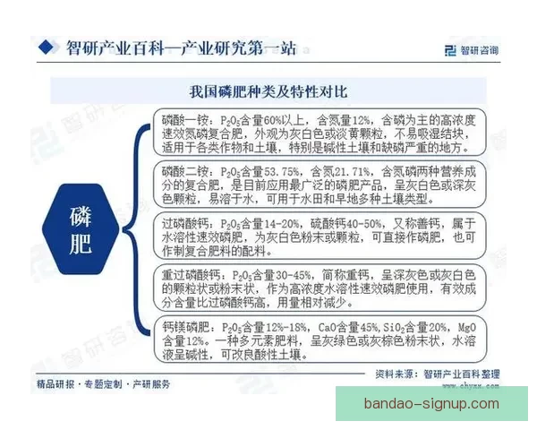 世界杯竞猜预测策略解析与热门球队数据趋势全面前瞻参考指南 世界杯竞猜预测策略解析与热门球队数据趋势全面前瞻参考指南